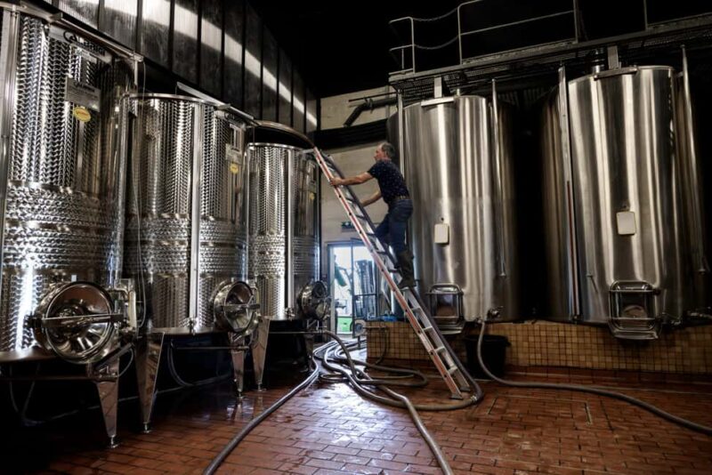 Aubance: Tour and Tasting at Domaine de Haute Perche - Tasting of Five Unique Wines