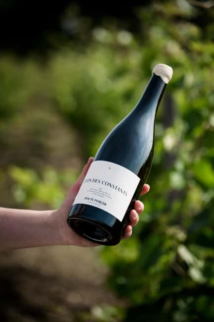 Aubance: Tour and Tasting at Domaine de Haute Perche - The Wines of Domaine de Haute Perche