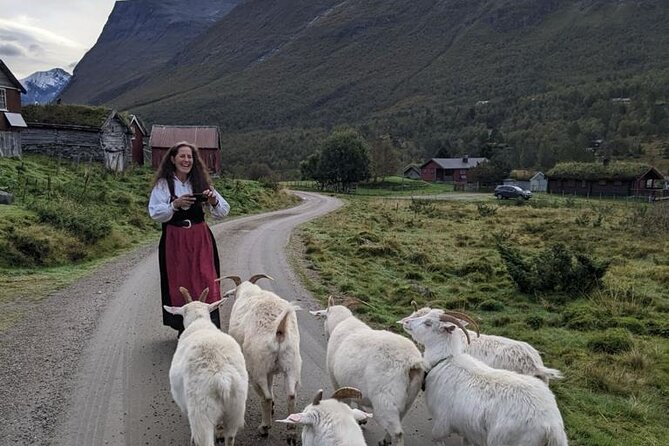 Audio-Guide Bus Tour at Scenic Routes of Åndalsnes to Trollstigen - The Isterdal Valley and Its Natural Beauty
