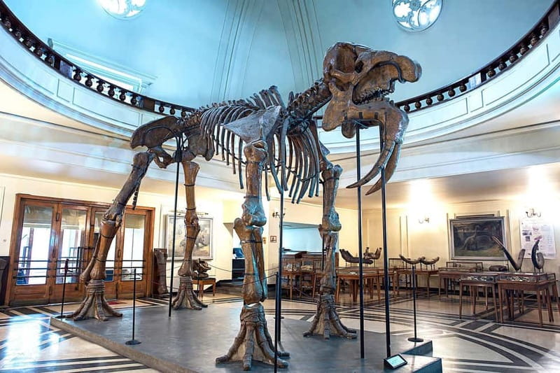 Audio Guide for Museum Paleontology and Historical Geology - Discover Bulgaria’s Deep Past with the Museum Paleontology and Historical Geology Audio Guide
