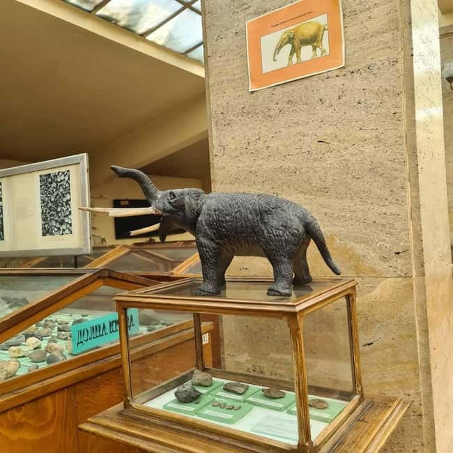 Audio Guide for Museum Paleontology and Historical Geology - Highlights of the Fossil Collection and Exhibits