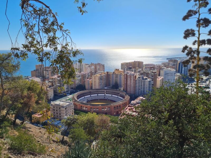 Audioguide City Walk Malaga for cruises (German & English) - Frequently Asked Questions