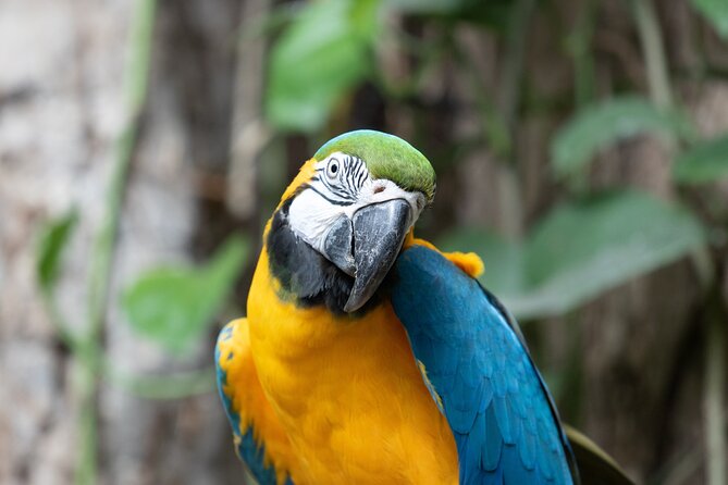 Audubon Aquarium and Insectarium Ticket - Practical Details: Accessibility and Visit Tips