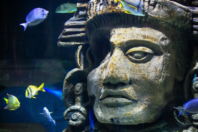 Audubon Aquarium and Insectarium Ticket - Potential Drawbacks and Considerations