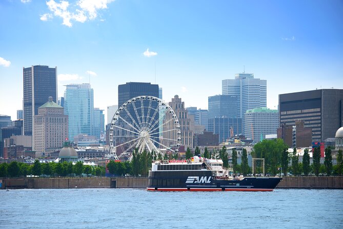 AURA experience at Notre-Dame Basilica and guided cruise - The Unique Notre-Dame Basilica and AURA Light Show