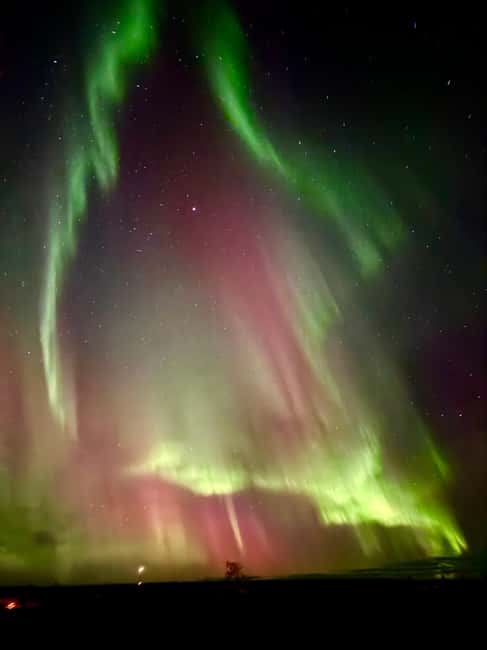 Aurora BBQ in the Private Place in Rovaniemi - Warmth and Food: Lappish BBQ & Marshmallows