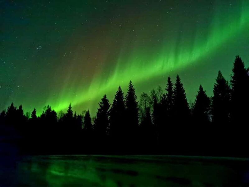 Aurora BBQ in the Private Place in Rovaniemi - The Guide: Friendly and Knowledgeable