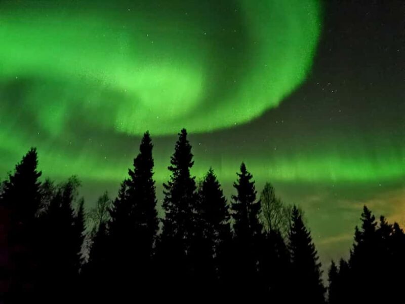 Aurora BBQ in the Private Place in Rovaniemi - Aurora Borealis: Natural Phenomenon with No Guarantees