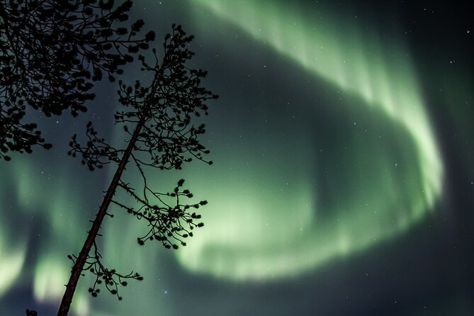 Aurora Borealis Picnic in Rovaniemi - Variability of Aurora Visibility and Weather Conditions