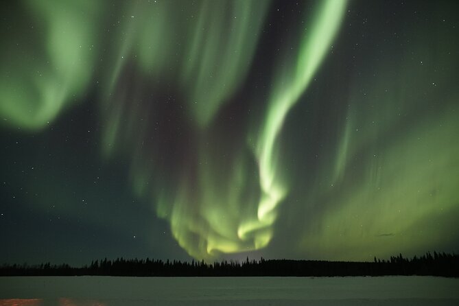 Aurora Borealis Picnic in Rovaniemi - Additional Experience Options and Similar Tours