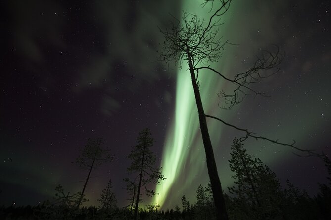 Aurora Borealis Picnic in Rovaniemi - Rescheduling and Cancellation Flexibility