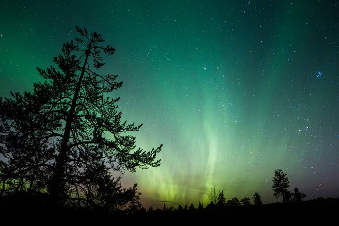 Aurora Borealis Quest: Private Yukon Nighttime Tour - Private Yukon Night Tour with Expert Guidance