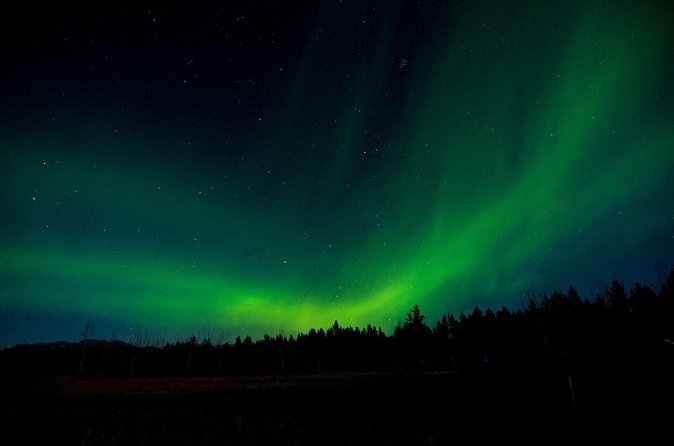 Aurora Borealis Quest: Private Yukon Nighttime Tour - The Experience of Viewing the Aurora Borealis