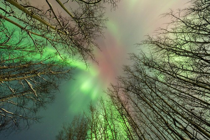 Aurora Chasing tour with Free Photography - The Experience of Aurora Conditions and Weather Factors