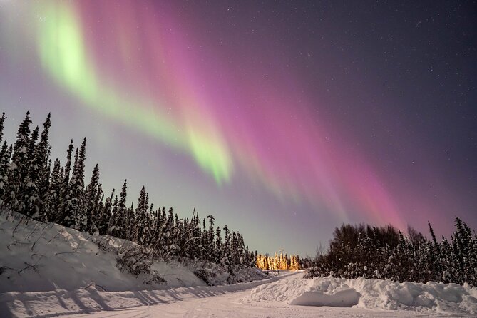 Aurora Chasing tour with Free Photography - Customer Feedback and Guide Performance