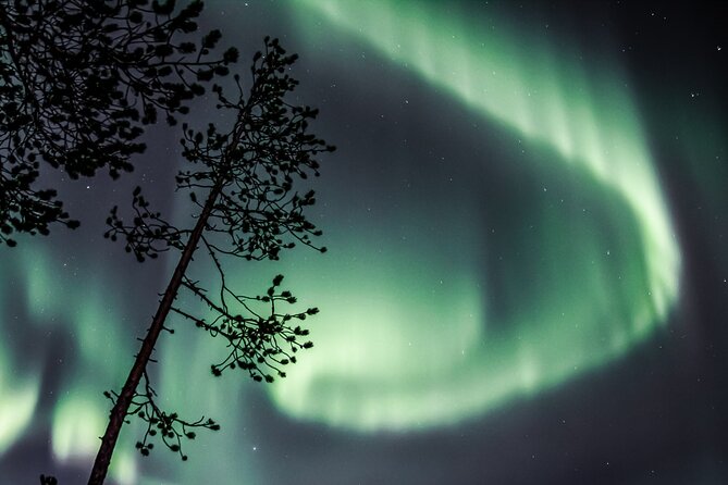 Aurora Hunting Photo Tour from Rovaniemi with Pickup - Pickup and Meeting at Safartica in Rovaniemi