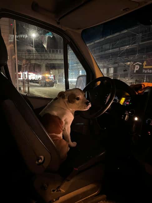 Aurora Optimum: Best 3-Night Forecast - The Guides and Their Communication Style