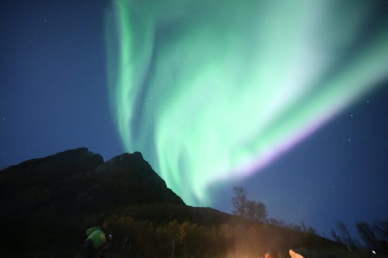 Aurora Optimum: Best 3-Night Forecast - Who Will Benefit Most from This Tour?