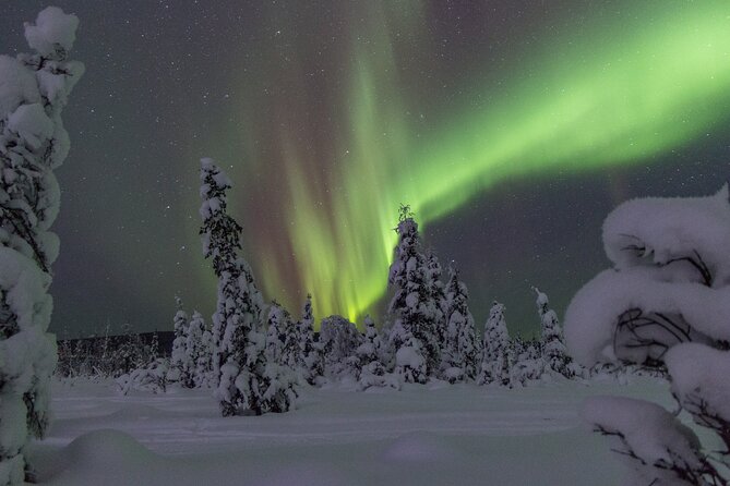 Aurora Sleighers Snowmobile Tour in Fairbanks - What to Expect During the 3-Hour Tour
