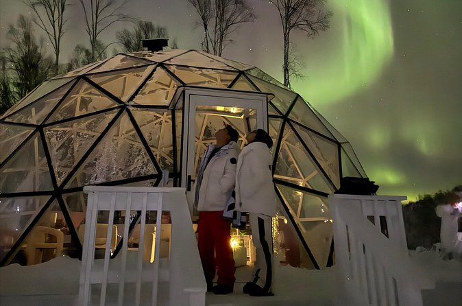 Aurora Sphere Admission Ticket - Recent Feedback and Notable Points from Reviews