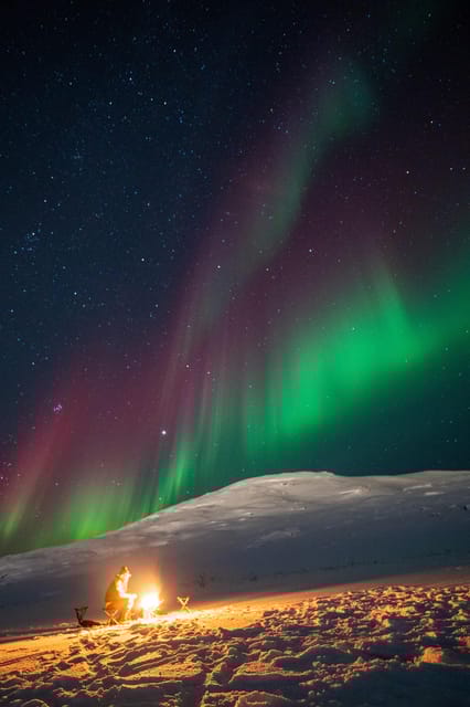 Aurora Tour For All with Tromsø Accessible Tours - Accessibility and Practical Tips for Participants