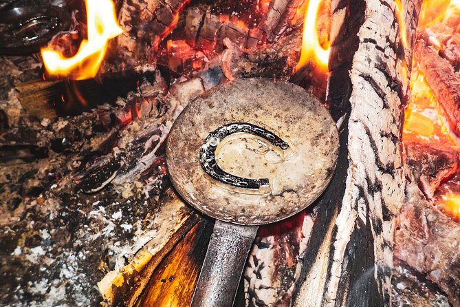 Auroras - Northern Lights Tours by Aurora Experts - Rovaniemi - The Tours Limitations and Considerations