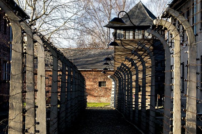 Auschwitz Birkenau and Salt Mine Full Day Guided Tour from Krakow hotel pick up - Key Points
