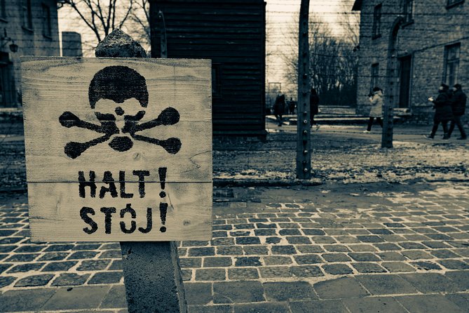 Auschwitz-Birkenau and Wieliczka Salt Mine Day Tour from Krakow with private car - The Guide’s Role and Tour Pacing