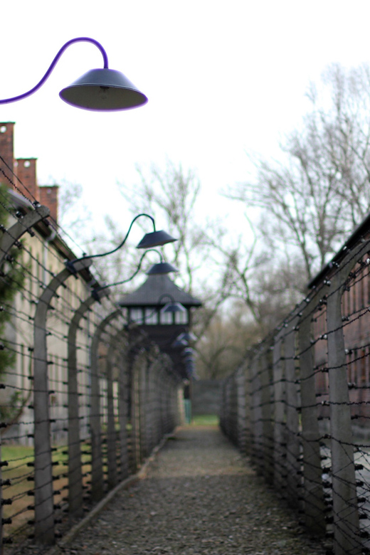 Auschwitz-Birkenau Full-Day Tour from Lodz by Private Car - Auschwitz-Birkenau Full-Day Tour from Lodz by Private Car