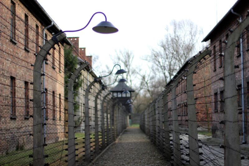 Auschwitz-Birkenau Full-Day Tour from Lodz by Private Car - Access to Original Prison Barracks and Gas Chambers