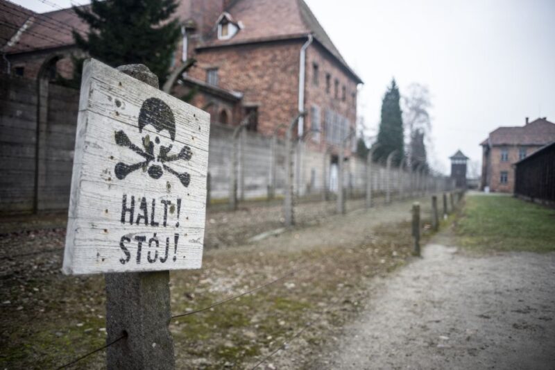 Auschwitz-Birkenau Full-Day Tour from Lodz by Private Car - Respectful and Educational Experience