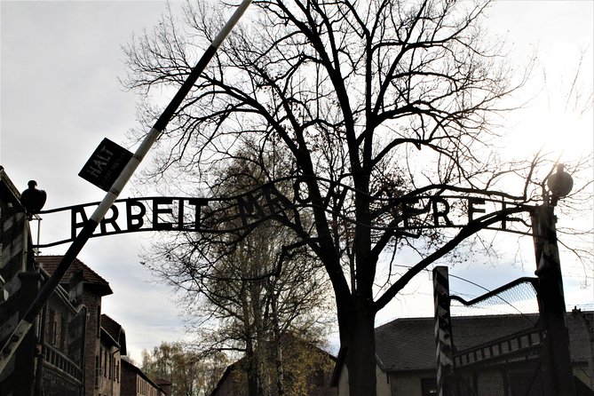 Auschwitz-Birkenau Guided Tour by Private Transport from Krakow - The Emotional Impact and Reflection Time