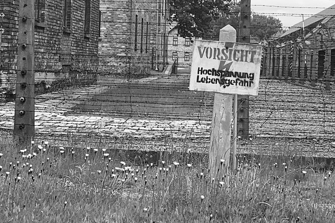 Auschwitz-Birkenau guided tour from Krakow - private car - Price and Booking Considerations