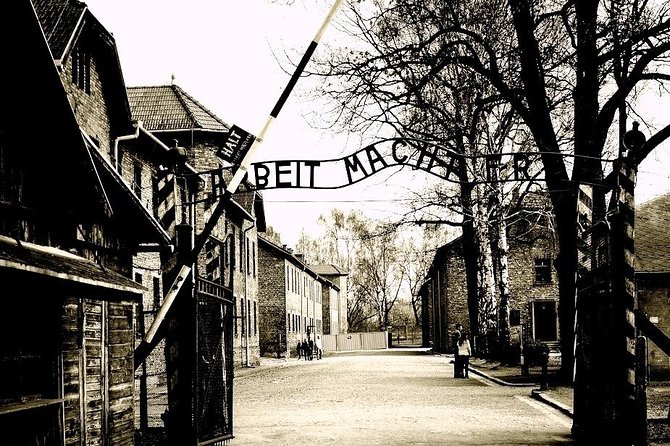 Auschwitz-Birkenau guided tour from Krakow with Ticket & Transfer - Accessibility and Physical Expectations