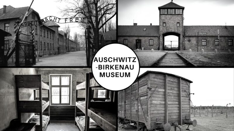 Auschwitz-Birkenau Guided Tour & Transfer from Krakow - The Logistics and Comfort of the Tour