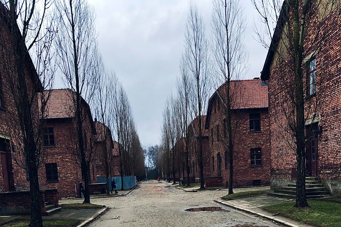 Auschwitz-Birkenau Guided Tour with Private Transport from Krakow - Key Points