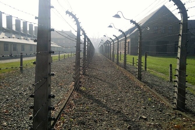 Auschwitz-Birkenau Guided Tour with Private Transport from Kraków - The Role of the Guide in Enhancing the Experience
