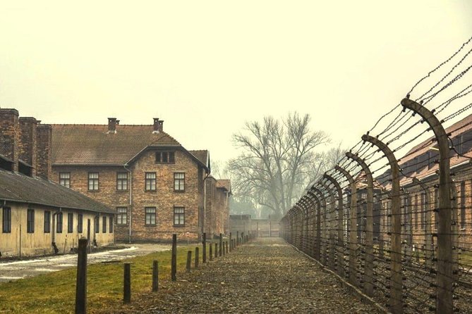 Auschwitz Birkenau Memorial and Museum group tour from Krakow - Practical Tips for Visiting Auschwitz-Birkenau