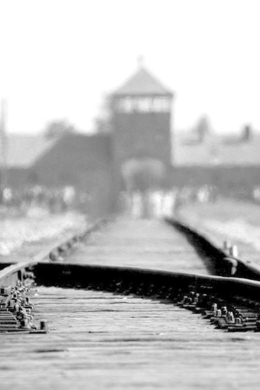 Auschwitz-Birkenau: Memorial Entry Ticket and Guided Tour - Key Points
