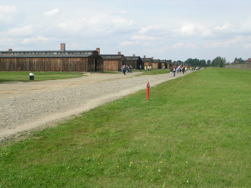 Auschwitz-Birkenau: Memorial Entry Ticket and Guided Tour - The Significance of the Railway and Gas Chamber Ruins at Birkenau