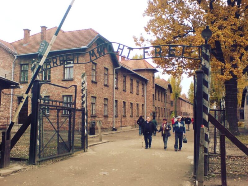 Auschwitz-Birkenau: Memorial Entry Ticket and Guided Tour - Practical Details: Meeting Point, Transport, and Group Size