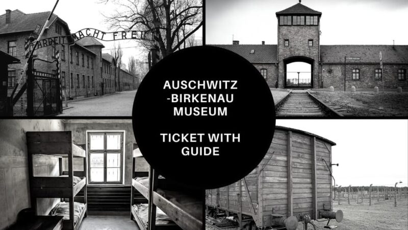 Auschwitz-Birkenau: Memorial Entry Ticket and Guided Tour - Costs, Inclusions, and Limitations of This Tour
