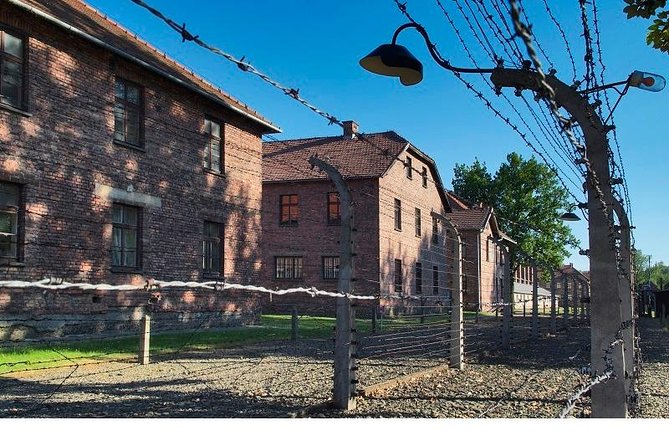 Auschwitz-Birkenau Museum and Memorial Guided Tour from Krakow - Value for Money and Overall Experience