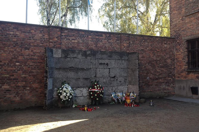 Auschwitz-Birkenau Museum and Memorial Guided Tour from Krakow - Who Should Consider This Tour
