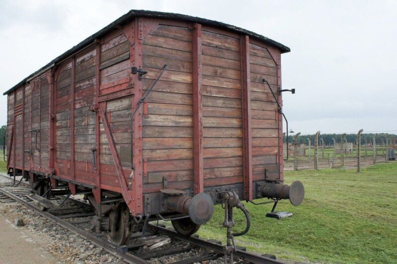 Auschwitz-Birkenau: Museum Entry Ticket with Guided Tour - Comparing This Tour to Similar Options