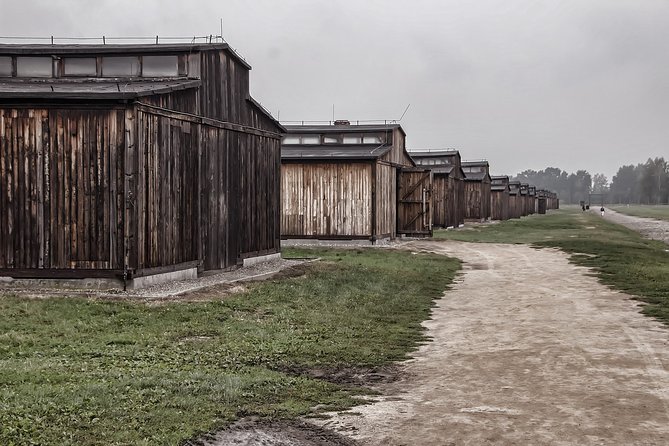 Auschwitz-Birkenau Private Tour from Krakow - Highlights of Birkenau and Its Layout