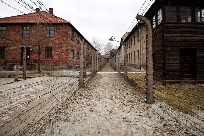 Auschwitz-Birkenau & Salt Mine Day tour - Experience Logistics and Practical Tips