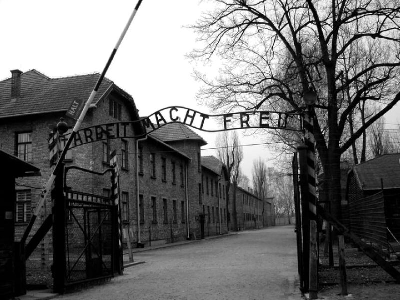 Auschwitz-Birkenau & Salt Mine Tour in One Day from Krakow - Visiting Auschwitz-Birkenau: A Powerful Reflection of History