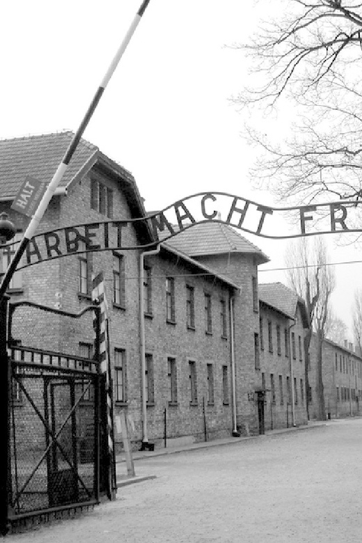 Auschwitz-Birkenau & Salt Mine Tour in One Day from Krakow - Limitations to Consider