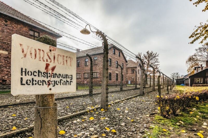 Auschwitz-Birkenau: Skip-the-Line Entry Ticket & Guided Tour - The Role of the Professional Guides